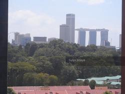 Cairnhill Residences (D9), Apartment #138806642